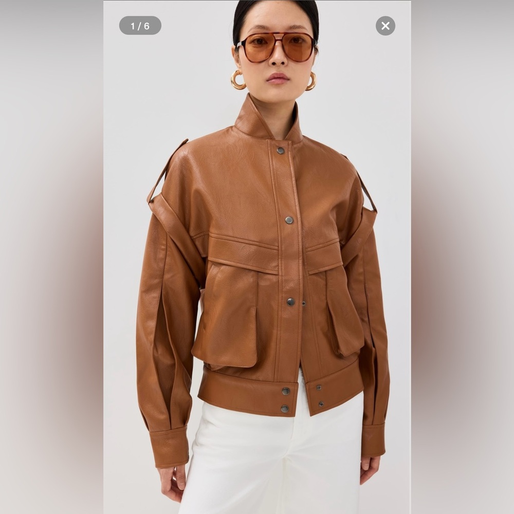 Lioness Madame Bomber